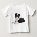 Recherche de border collie Puppy