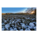 Recherche de auvergne posters Auvergne rhône alpes