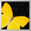Recherche de papillon jaune posters Élégant