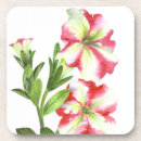 Suche nach petunien Blumenkorb