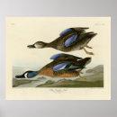 Suche nach winged kunst Illustration