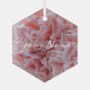 Suche nach kräuter ornamente Flora