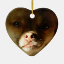 Recherche de pomeranian ornements Amants