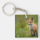Suche nach kiter schlüsselanhänger Tierwelt