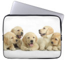 Suche nach labrador retriever laptop schutzhüllen Tiere