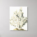 Suche nach cremefarben leinwandbilder Meer