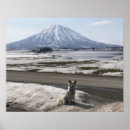 Suche nach shiba poster Doge