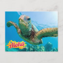Recherche de turtle vœux cartes Tropical