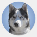 Suche nach zäh aufkleber Hund