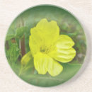 Suche nach primate untersetzer Blume