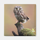 Recherche de maison blanche magnets Jour