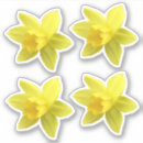 Suche nach narzisse aufkleber Frühlingsblumen