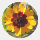 Recherche de oklahoma autocollants Fleur sauvage