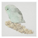Suche nach drossel poster Aquarell