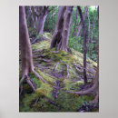 Suche nach moos poster Wandern