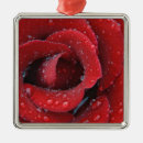 Suche nach tau ornamente Blume