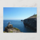 Recherche de mouette cartes postales Paysage