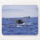 Suche nach atlantisch mousepads Kanada