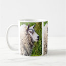 Recherche de élevage tasses Agriculture