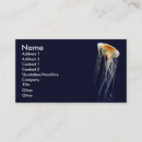 Recherche de gelée cartes visite Méduses