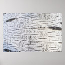 Suche nach birkenrinde poster Natur