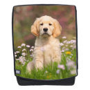 Recherche de golden retriever accessoires Animal