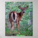 Suche nach erschrockener poster Tier