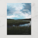 Recherche de marais cartes postales Zone humide