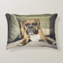 Recherche de faon coussins Chiot