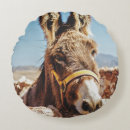 Suche nach donkey kissen Wild