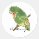 Suche nach grüner papagei aufkleber Tropisch