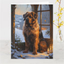 Suche nach bouvier des flandres karten Haustier