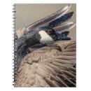 Suche nach gans notizbuch Vogel