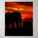 Suche nach elefant silhouette poster Safari