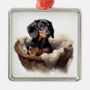 Suche nach vor kurzem ornamente Hund