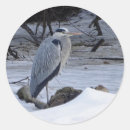 Suche nach heron aufkleber Ardea herodias