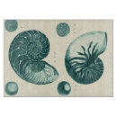 Recherche de coquillage planches à découper Vie marine