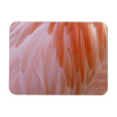 Recherche de plumes rectangulaires magnets Rose
