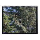 Suche nach adler kalender Eagles