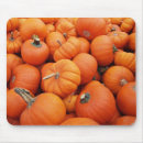 Suche nach kürbise mousepads Orange