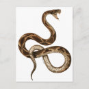 Recherche de crocs cartes postales Illustration
