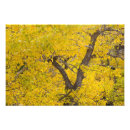 Recherche de le gla posters Parc national