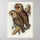 Recherche de animal masqué posters Oiseau