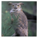 Recherche de larve carreaux Oiseau