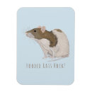 Recherche de ratties magnets Rats