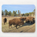 Recherche de bison tapis souris Nature
