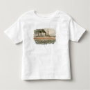 Recherche de bismarck tshirts Militaire
