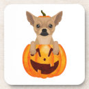 Suche nach chihuahua untersetzer Lustig