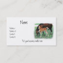 Recherche de poulain cheval cartes visite Jument