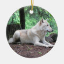 Suche nach weißer wolf ornamente Wölfe